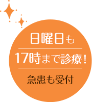日曜日も17時まで診療！急患も受付